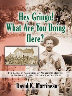 cover image of Hey Gringo! What Are You Doing Here?